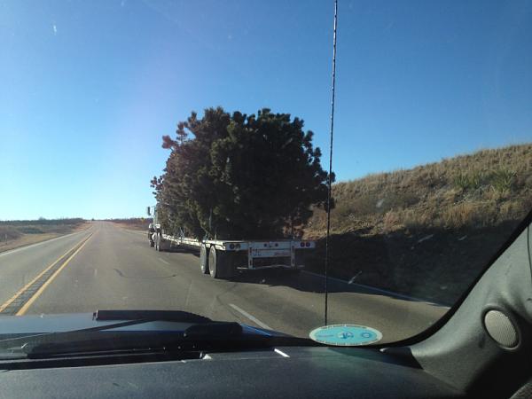 Huge Strange RANDOM Pictures and Idiocy Gallery!*-image-4171706574.jpg