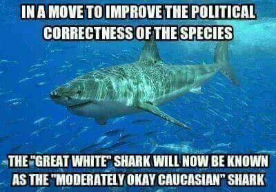 Name:  image-3257677681.jpg
Views: 130
Size:  116.6 KB