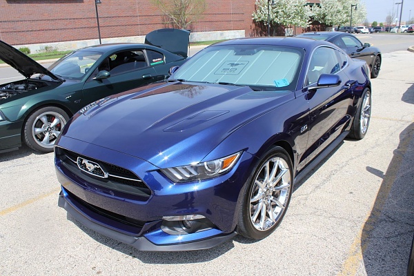 Does your Mustang have a name and personality?-13002603_10209938360762297_3749883907086779286_o_2bcaef6b3c056f75a23eb471bc8ff635911d88d0.jpg