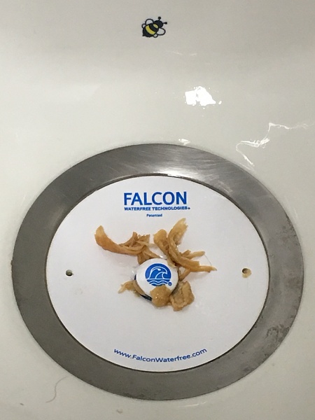 Huge Strange RANDOM Pictures and Idiocy Gallery!*-photo249.jpg