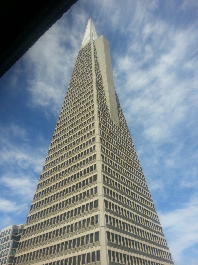 Name:  20140728_123559_zps11fc7497.jpg
Views: 46
Size:  318.1 KB