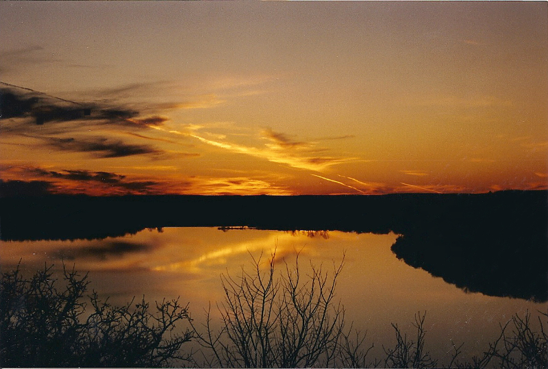 Name:  scan0002.jpg
Views: 58
Size:  464.8 KB