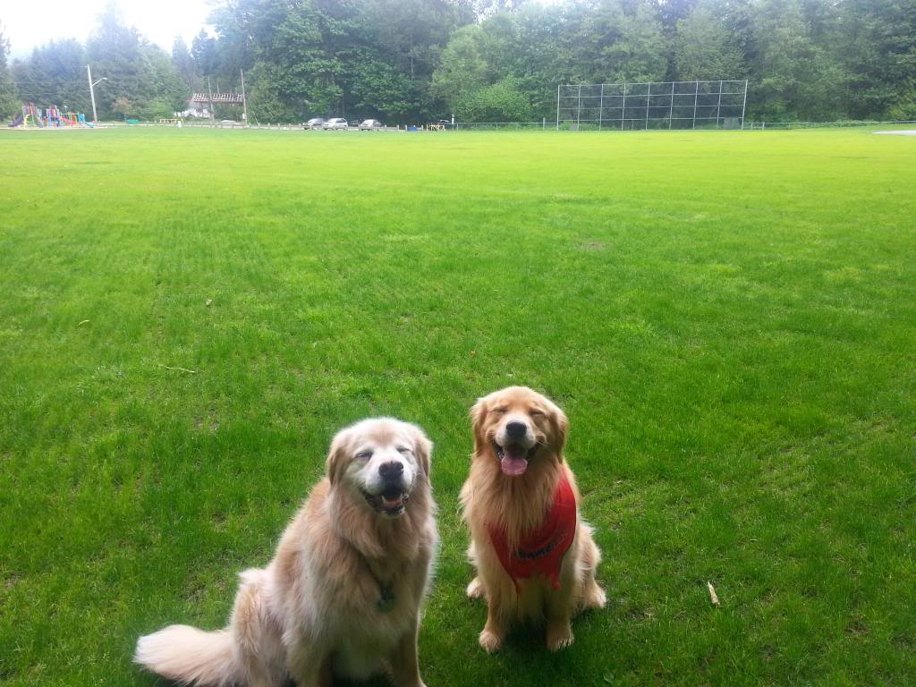 Name:  09ea2770-e64c-492f-845d-22d5cfbb09e0_zpsa66a5516.jpg
Views: 31
Size:  127.2 KB