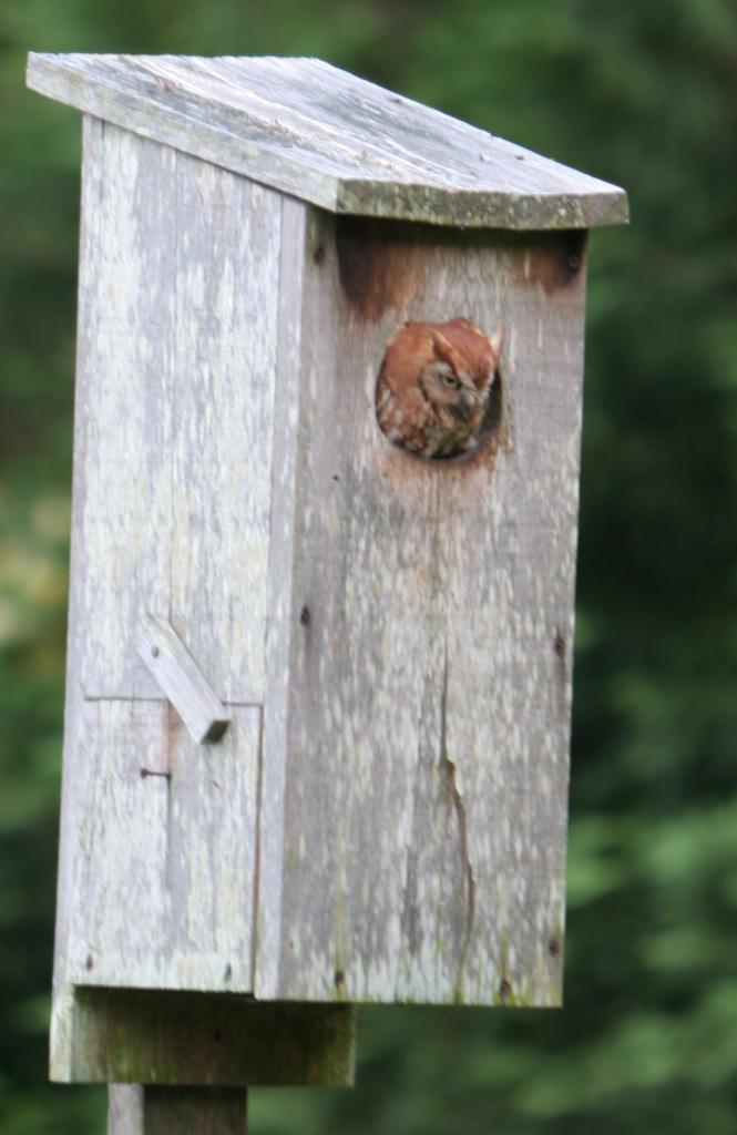 Name:  CopyIMG_4880_zps62558a73.jpg
Views: 105
Size:  62.9 KB