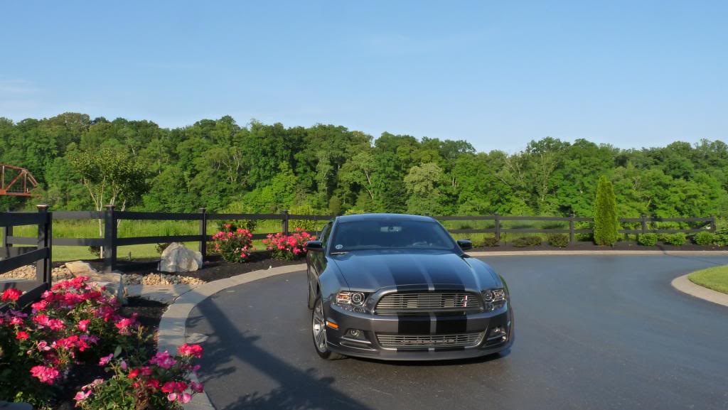 Name:  Stripes009_zps3a655422.jpg
Views: 68
Size:  78.7 KB