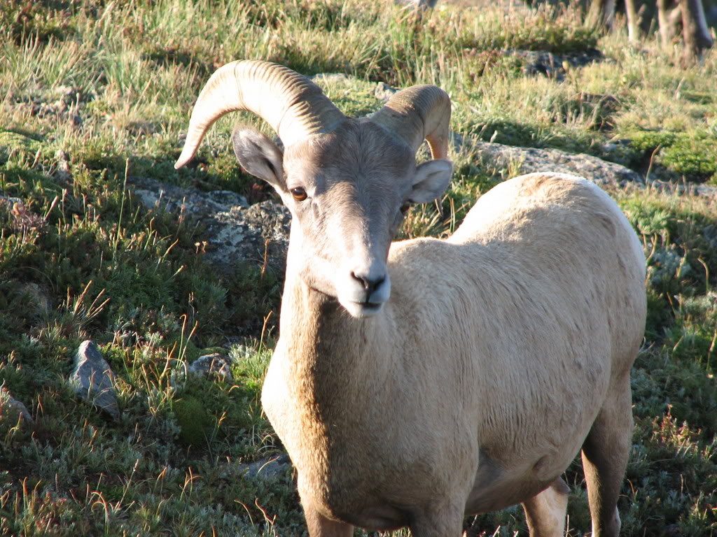 Name:  IMG_3046.jpg
Views: 46
Size:  214.8 KB