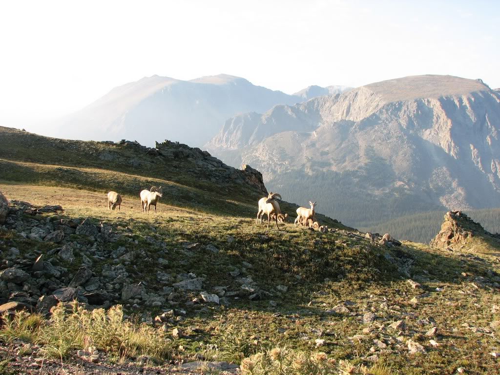 Name:  IMG_3041.jpg
Views: 57
Size:  213.5 KB