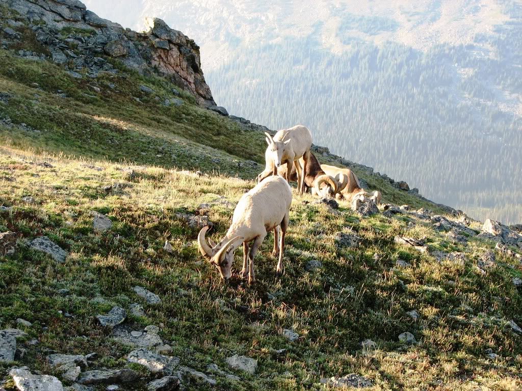 Name:  IMG_3044.jpg
Views: 59
Size:  302.8 KB