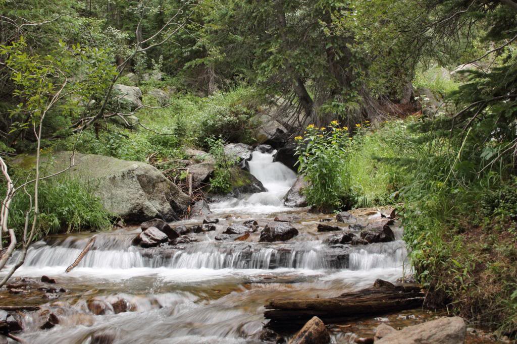 Name:  IMG_0565.jpg
Views: 49
Size:  169.3 KB