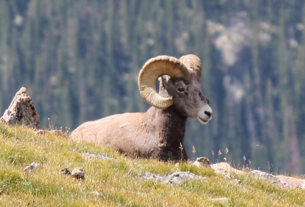 Name:  IMG_0292_a.jpg
Views: 53
Size:  77.4 KB