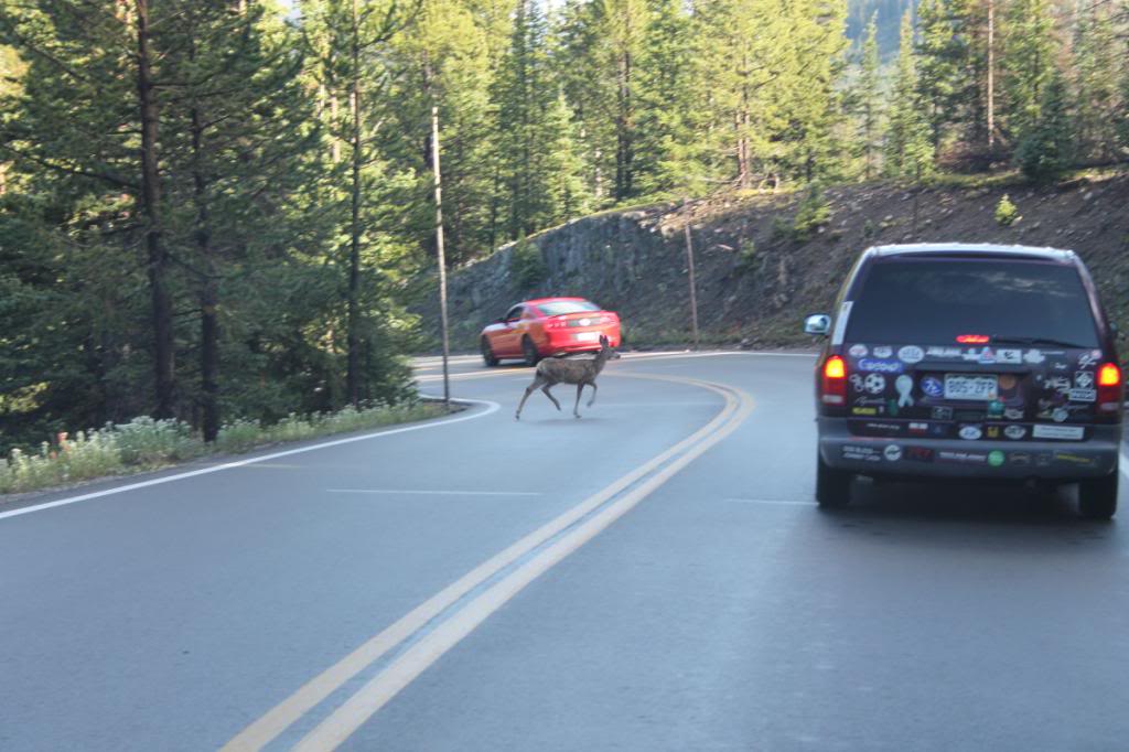 Name:  IMG_0652.jpg
Views: 52
Size:  94.6 KB