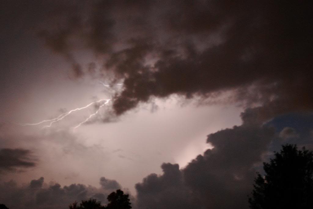 Name:  DSC_0993_zps17faaf6a.jpg
Views: 35
Size:  32.0 KB