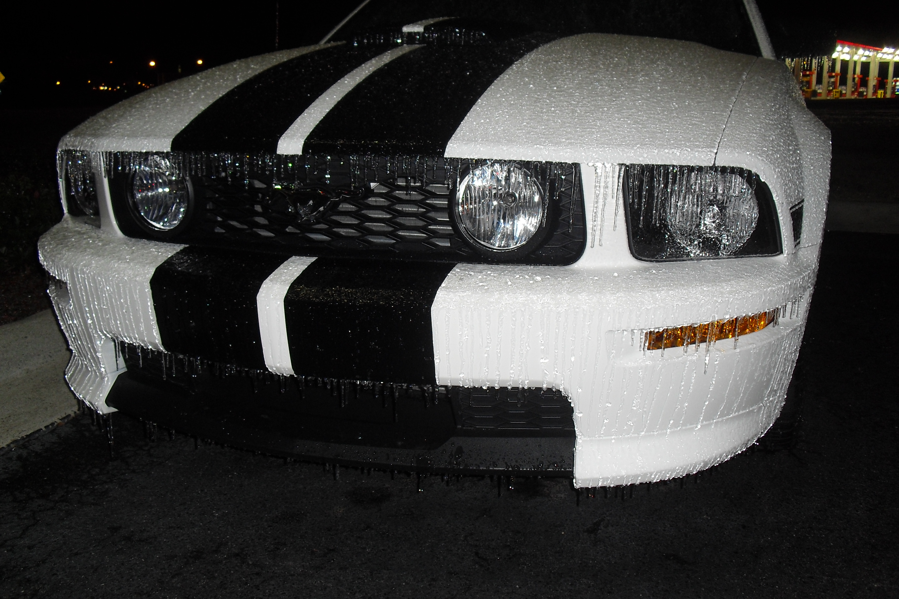 Name:  CIMG4464.jpg
Views: 73
Size:  1.91 MB