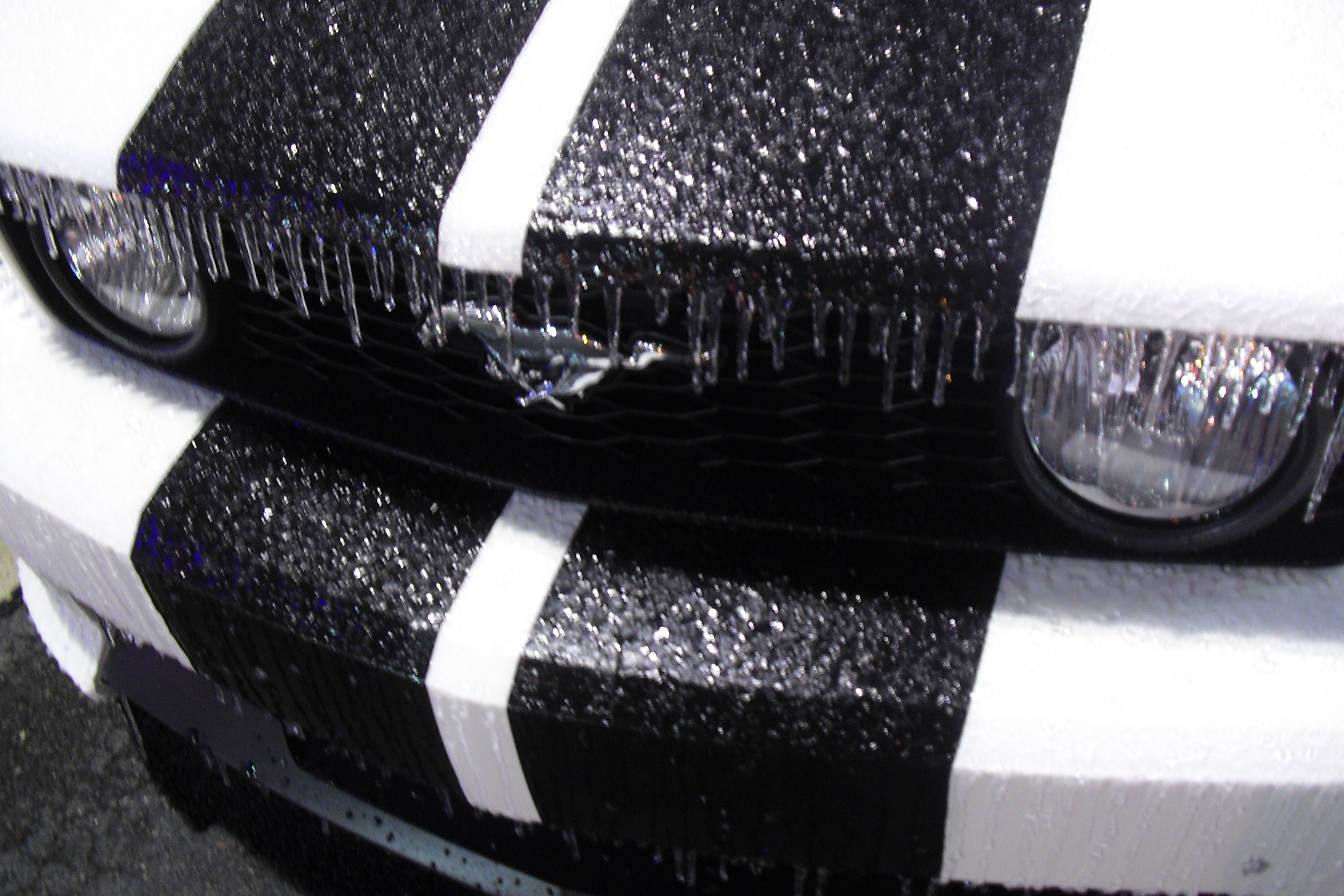 Name:  CIMG4468.jpg
Views: 76
Size:  1.69 MB