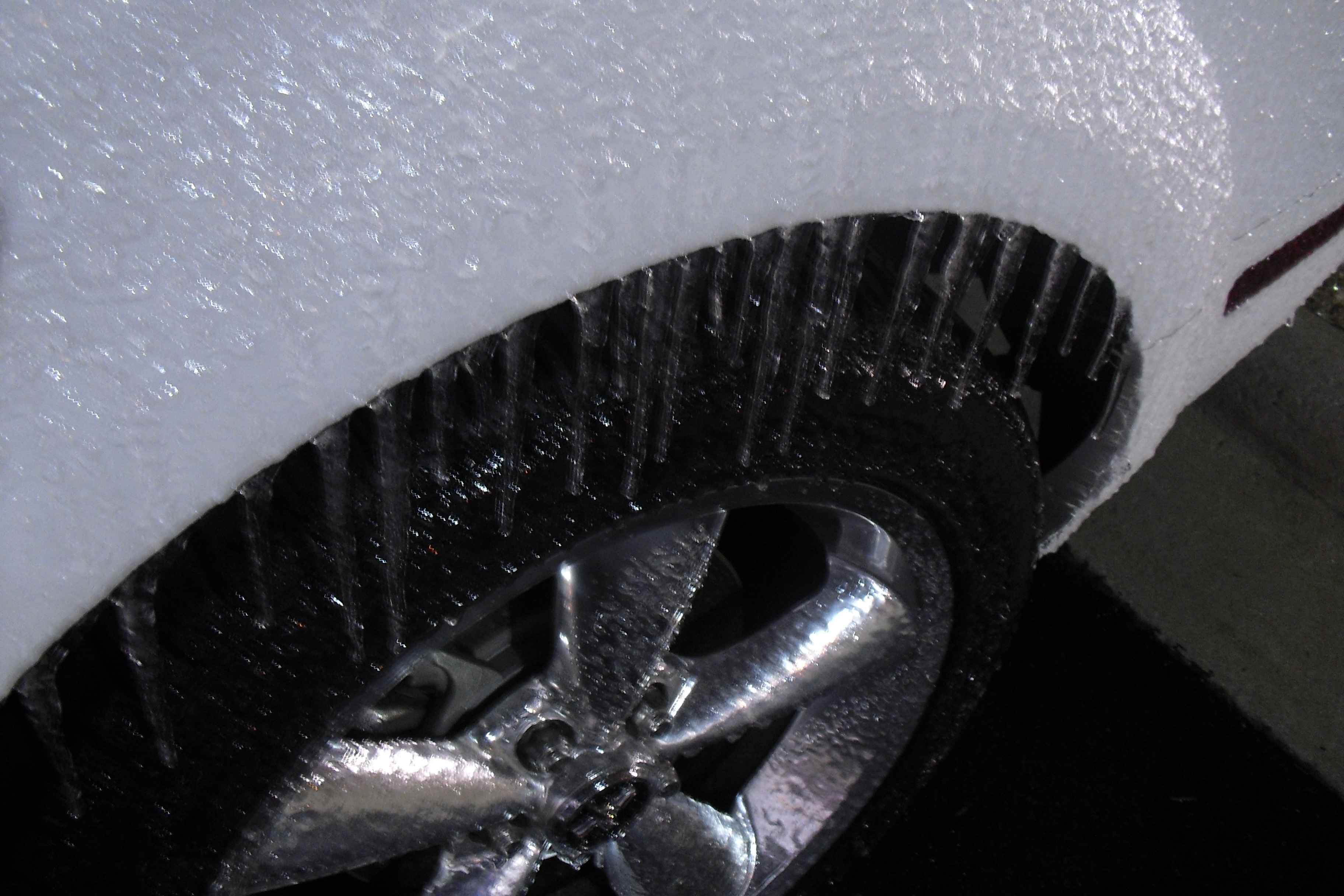 Name:  CIMG4475.jpg
Views: 62
Size:  1.70 MB