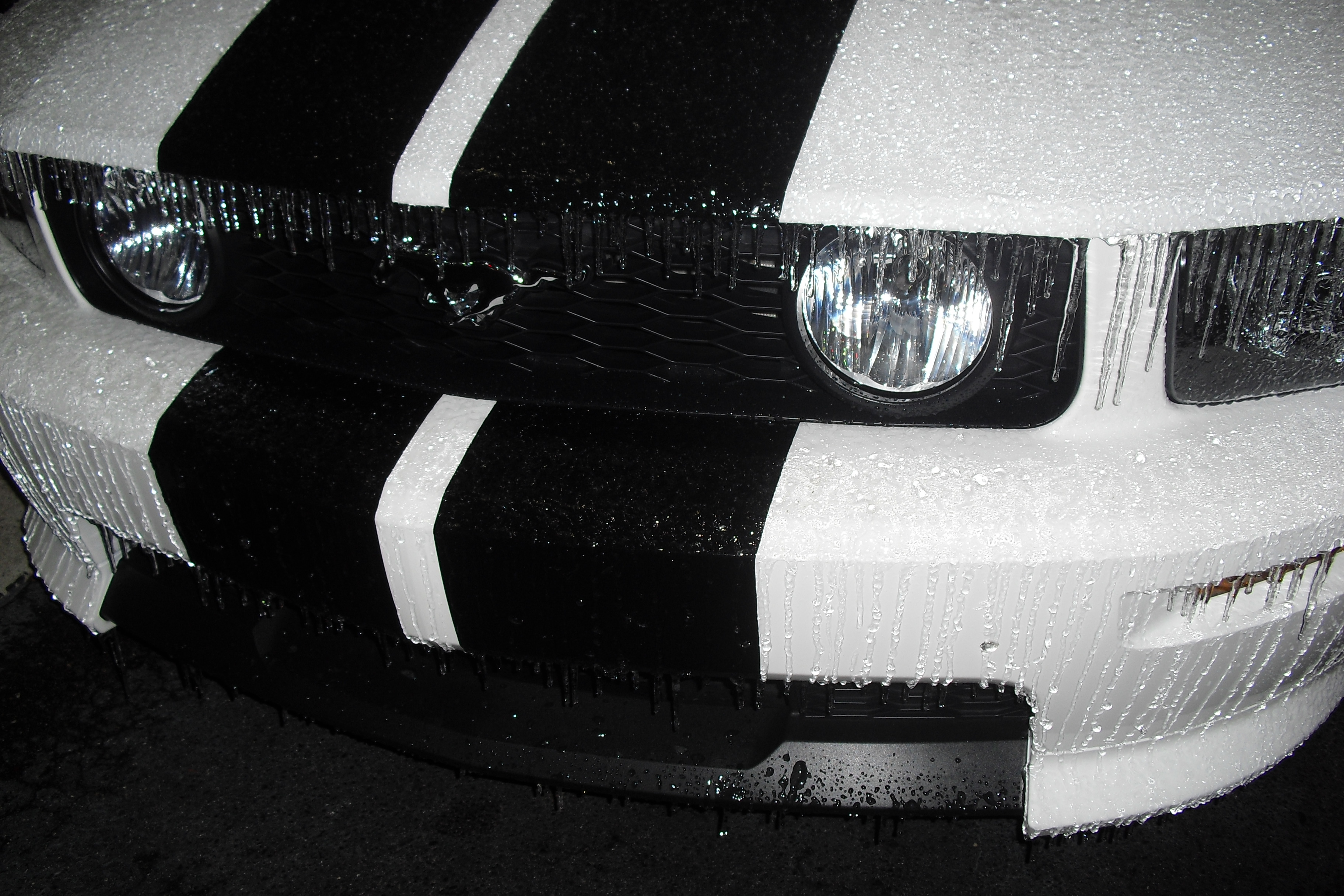 Name:  CIMG4482.jpg
Views: 61
Size:  2.05 MB