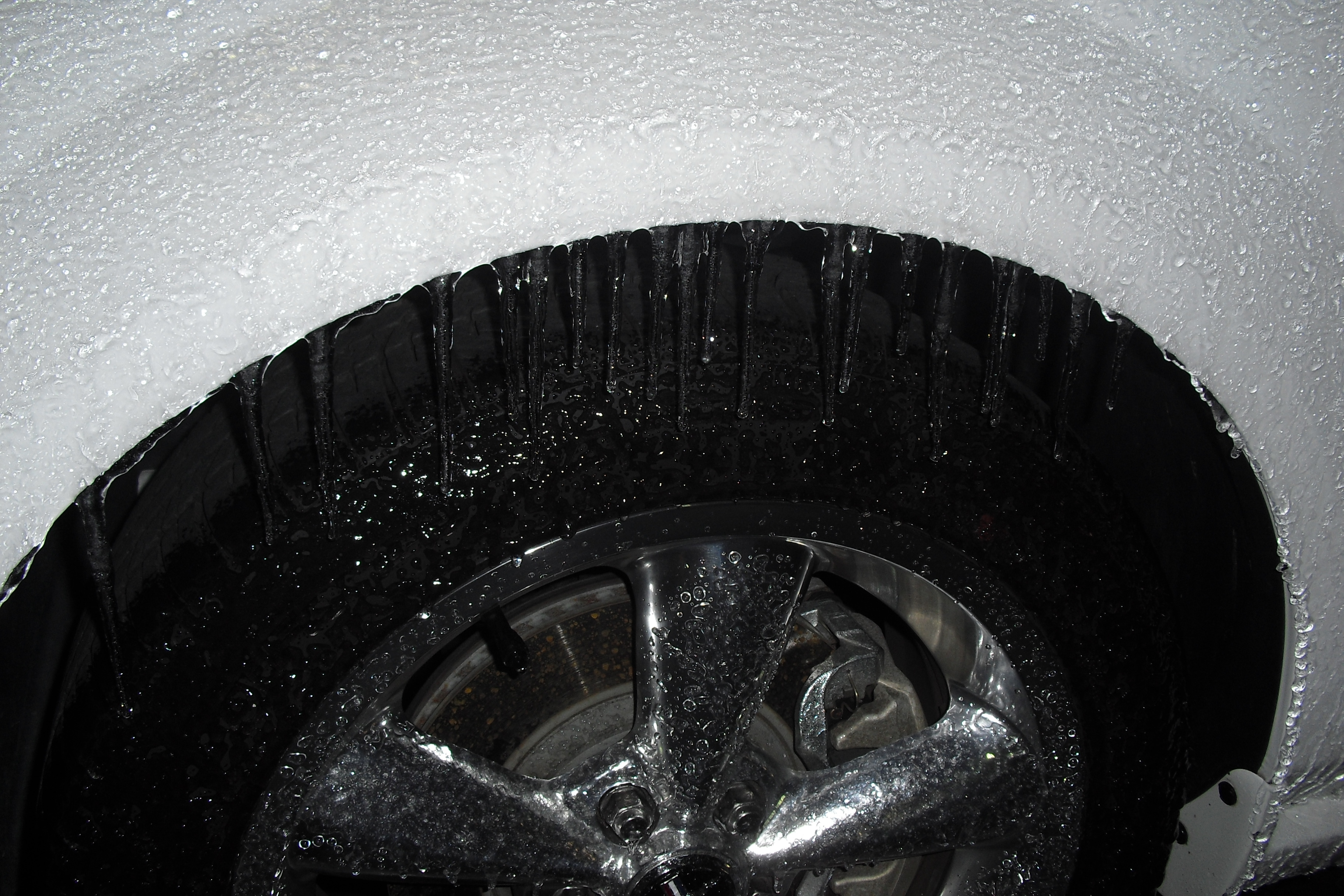 Name:  CIMG4485.jpg
Views: 63
Size:  2.21 MB