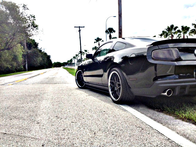 Name:  photo-12_zpsde04e657.jpg
Views: 114
Size:  108.2 KB