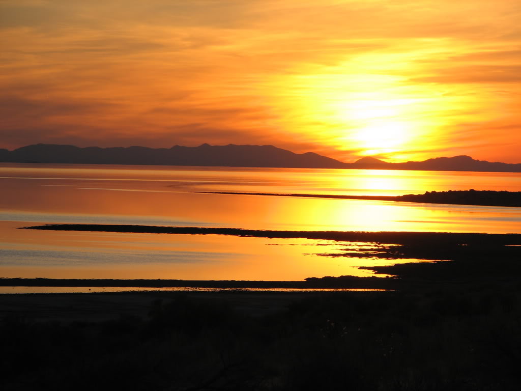 Name:  bb72b48e.jpg
Views: 31
Size:  66.8 KB