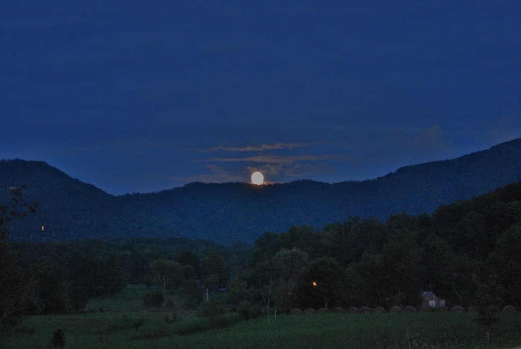 Name:  50ab7dd1.jpg
Views: 44
Size:  307.8 KB