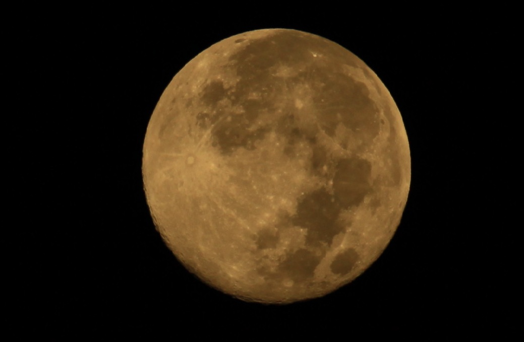 Name:  IMG_1792a.jpg
Views: 44
Size:  77.0 KB