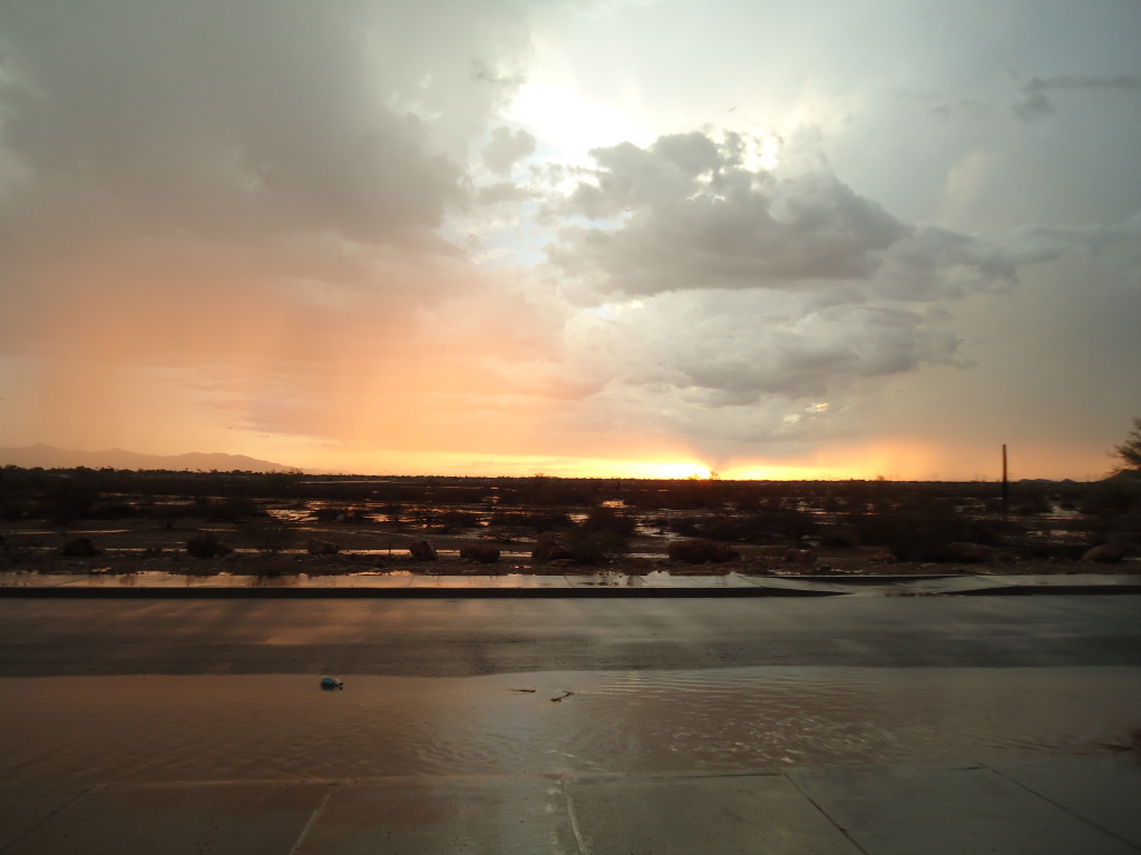 Name:  219.jpg
Views: 32
Size:  193.9 KB