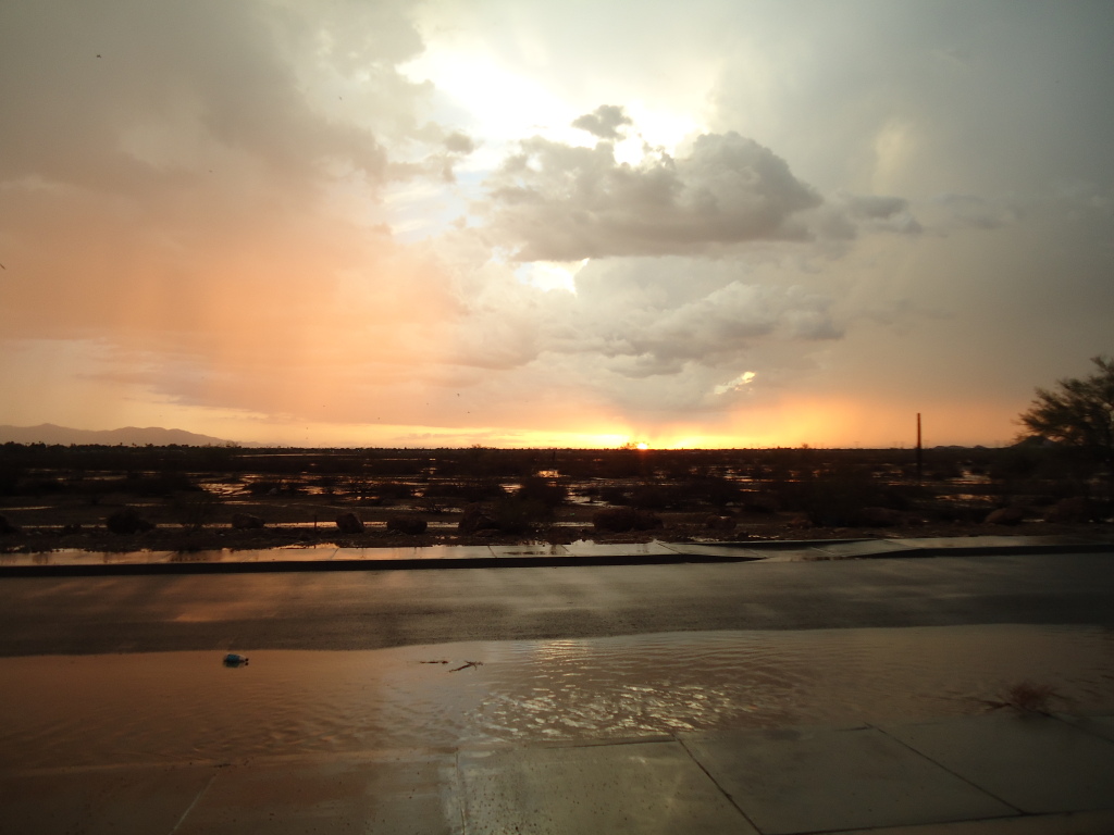 Name:  224.jpg
Views: 54
Size:  204.3 KB