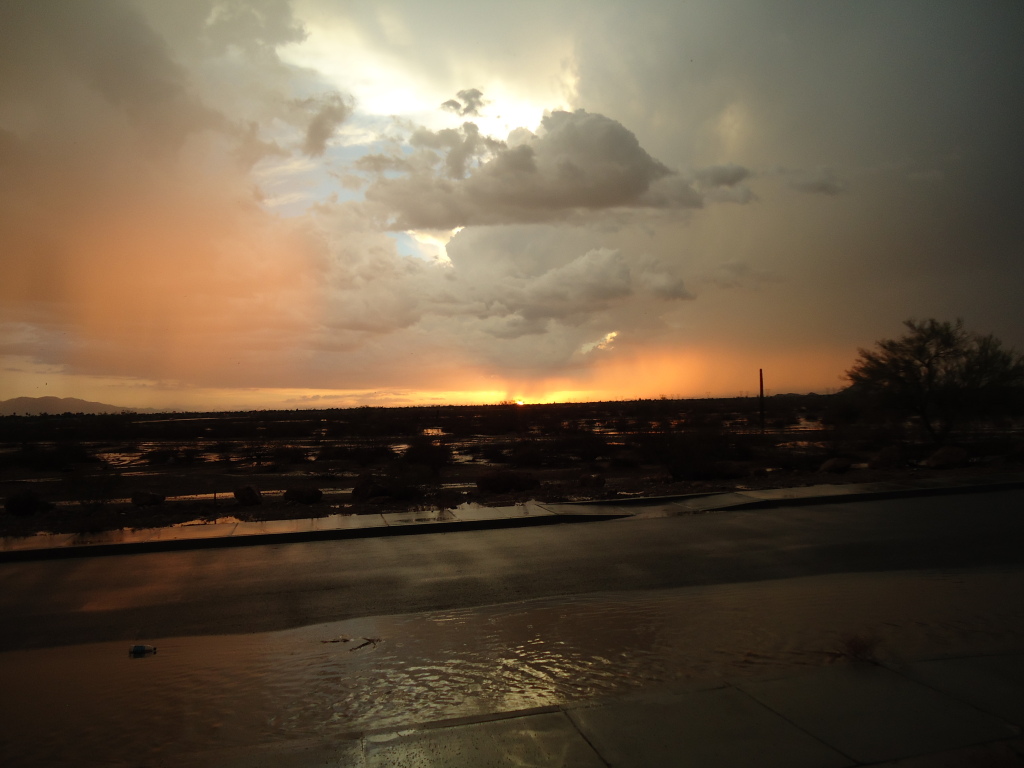 Name:  231.jpg
Views: 53
Size:  203.8 KB