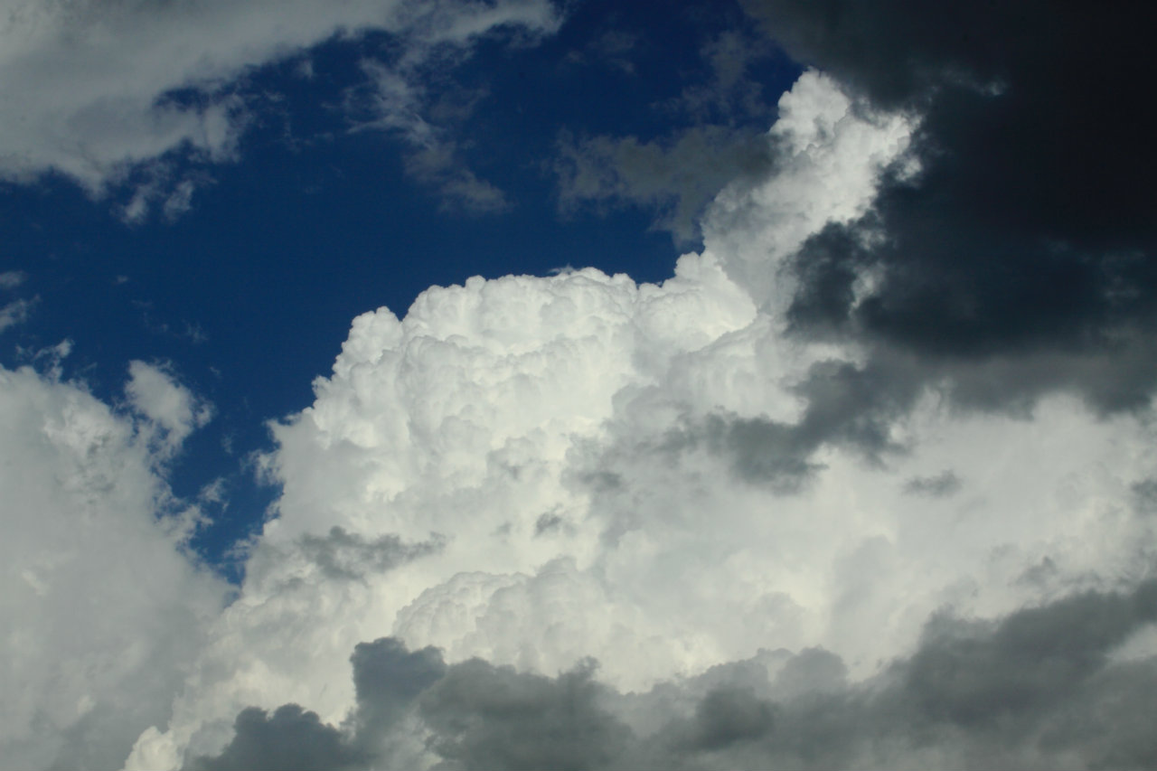 Name:  IMG_1774a-1.jpg
Views: 40
Size:  115.3 KB