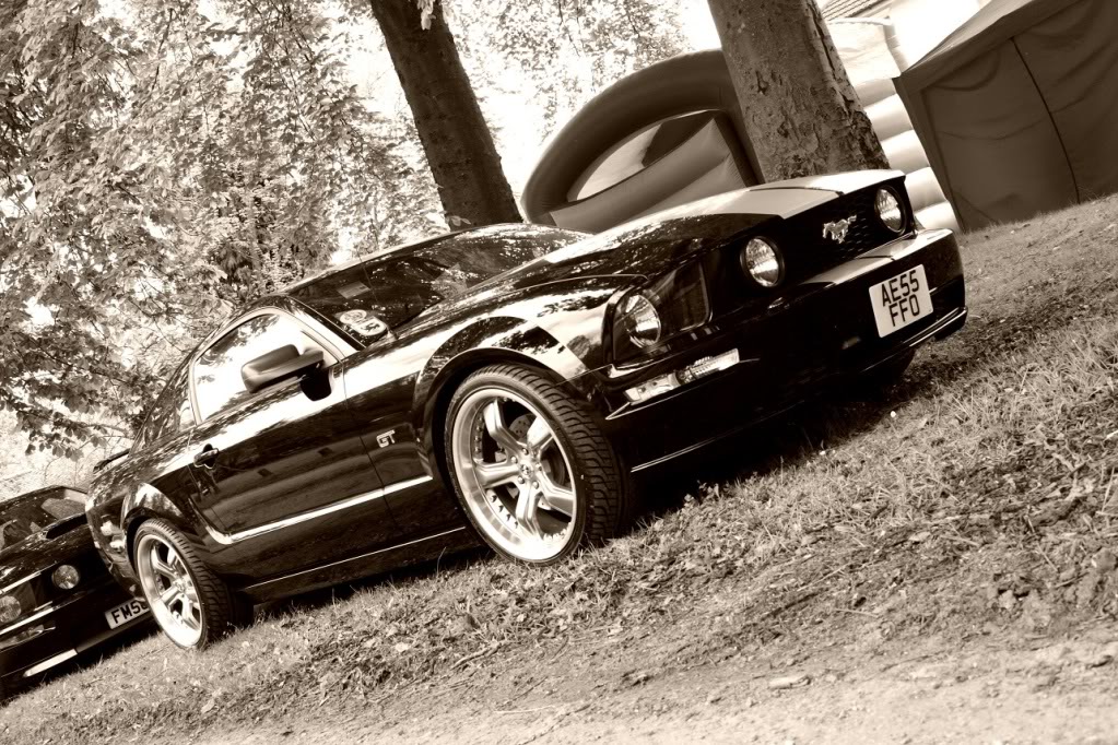 Name:  MustangsWhiteleysMay2012-58.jpg
Views: 661
Size:  243.0 KB