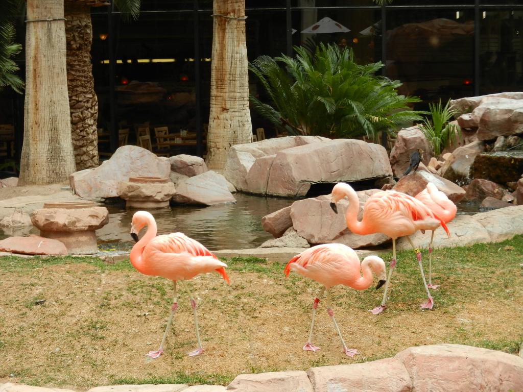 Name:  321.jpg
Views: 37
Size:  158.4 KB