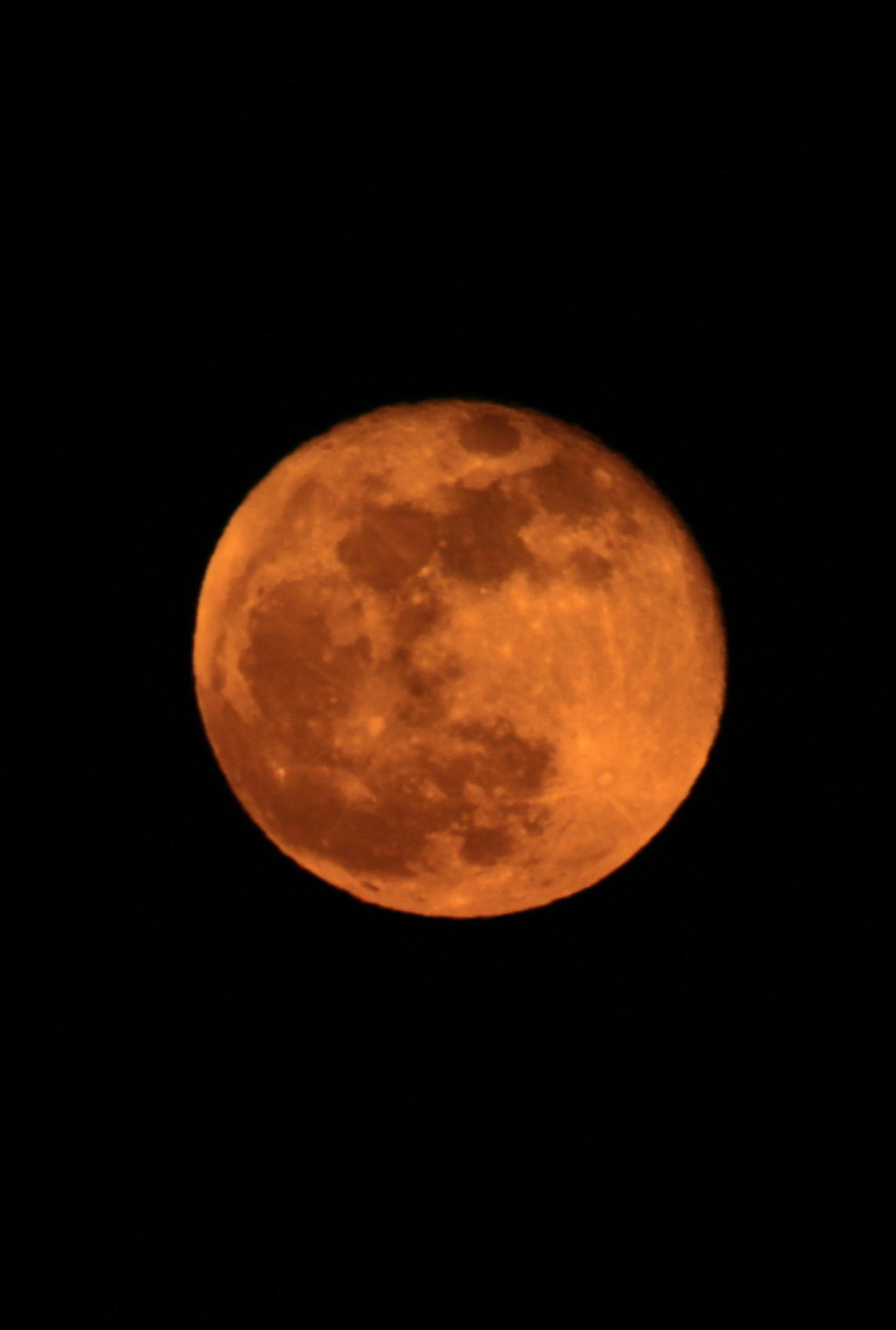 Name:  IMG_1554-1.jpg
Views: 25
Size:  121.7 KB