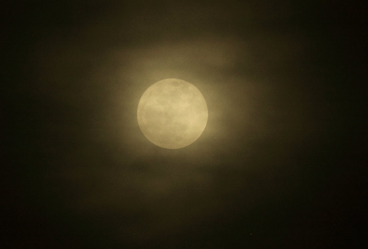 Name:  IMG_1516a-1.jpg
Views: 19
Size:  100.5 KB