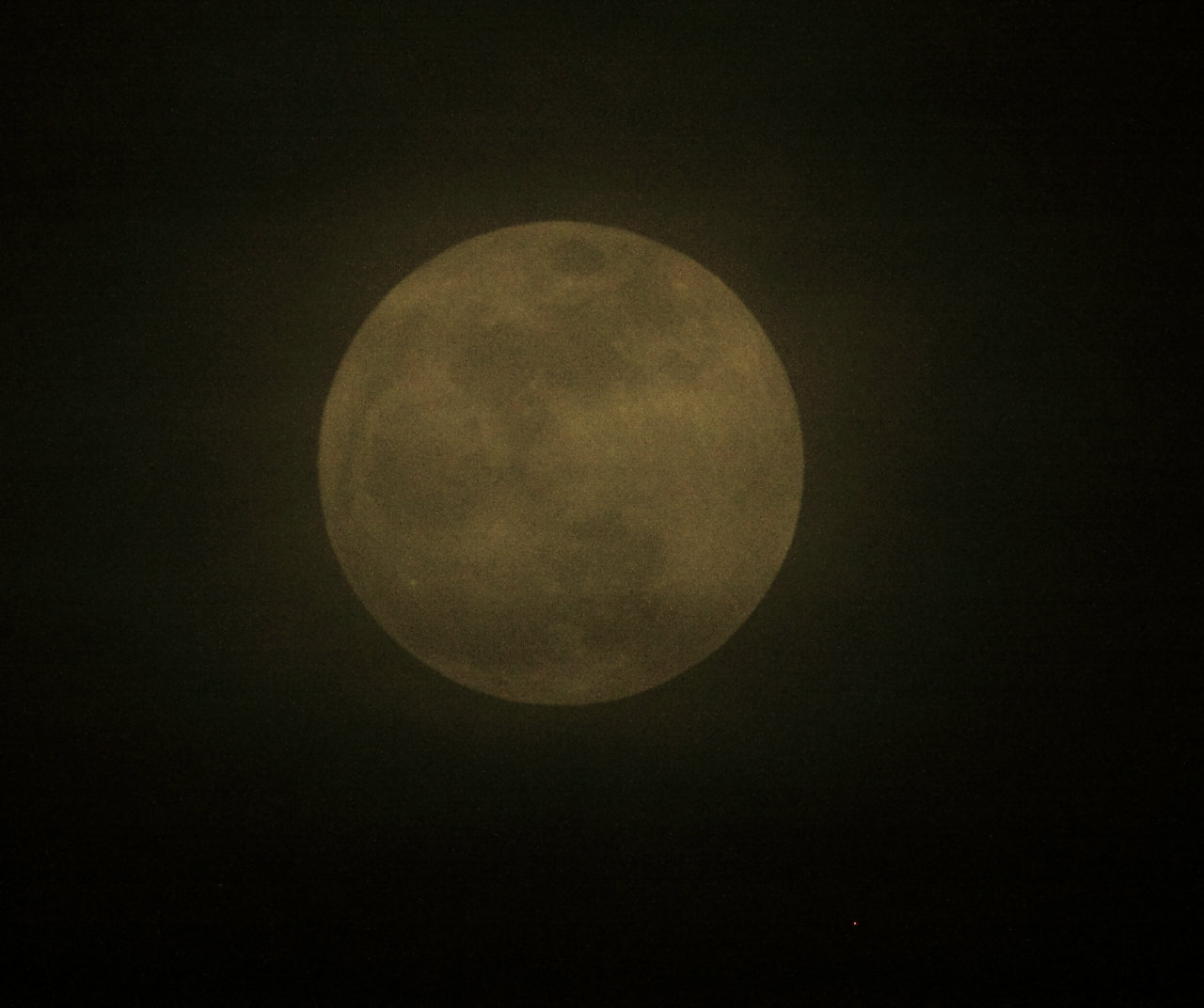 Name:  IMG_1513a-1.jpg
Views: 36
Size:  140.0 KB