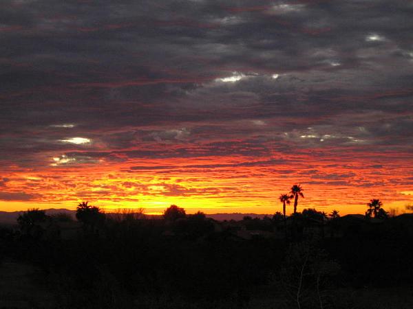 Members Random Picture Gallery Non Mustang Shots of Interest!-img_2377.jpg