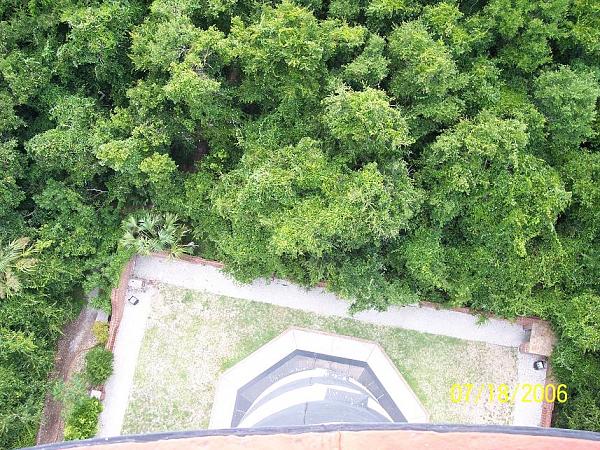 Members Random Picture Gallery Non Mustang Shots of Interest!-lookindown.jpg