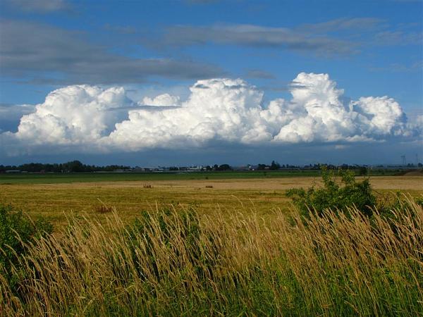 Members Random Picture Gallery Non Mustang Shots of Interest!-sunday-clouds.jpg