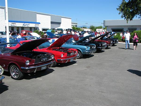 Members Random Picture Gallery Non Mustang Shots of Interest!-65-66-verts.jpg