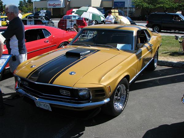 Members Random Picture Gallery Non Mustang Shots of Interest!-70-cobra-jet.jpg
