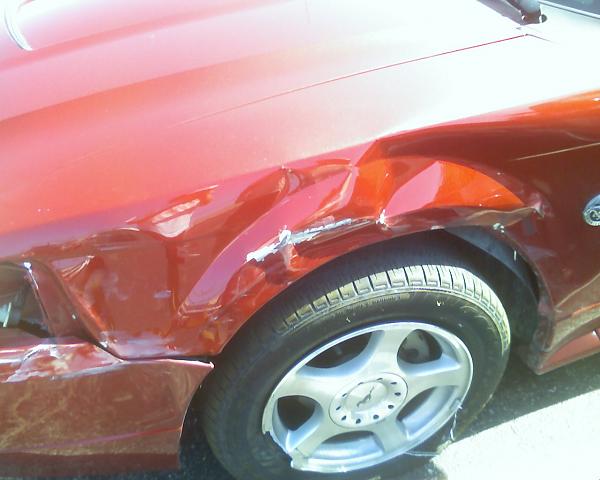 Show us your damaged stangs!-020308_12482.jpg