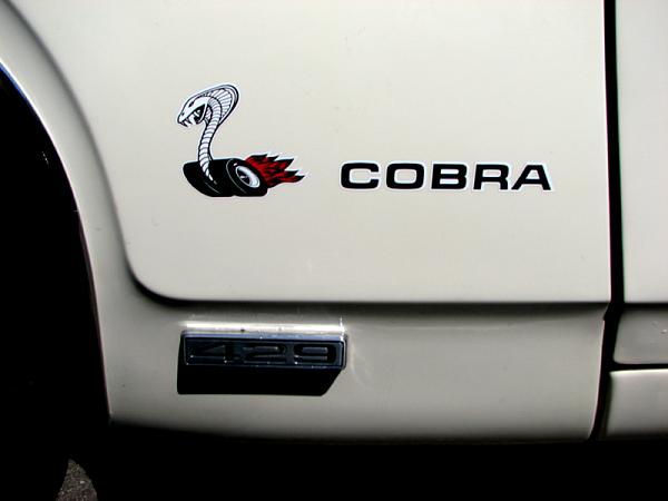 Members Random Picture Gallery Non Mustang Shots of Interest!-429-cobra-torino.jpg