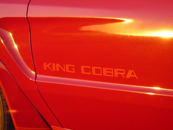 Members Random Picture Gallery Non Mustang Shots of Interest!-p1000255.jpg