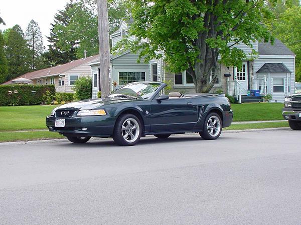 Every Mustang you have had in your life.....-mustangs-new-shoes-copy.jpg