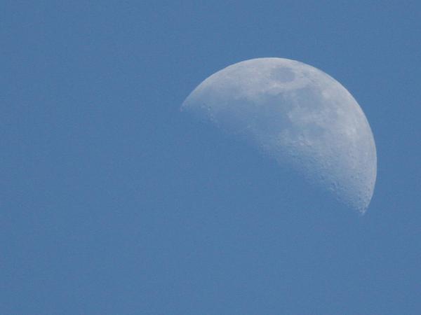 Members Random Picture Gallery Non Mustang Shots of Interest!-bluemoon.jpg