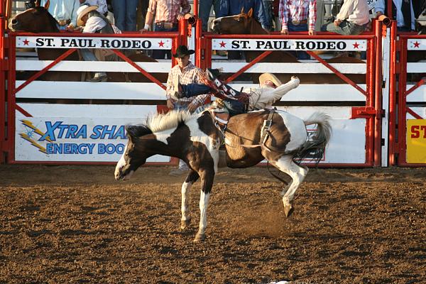 Members Random Picture Gallery Non Mustang Shots of Interest!-buckinbronc.jpg