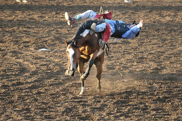 Members Random Picture Gallery Non Mustang Shots of Interest!-buckinbronc2.jpg