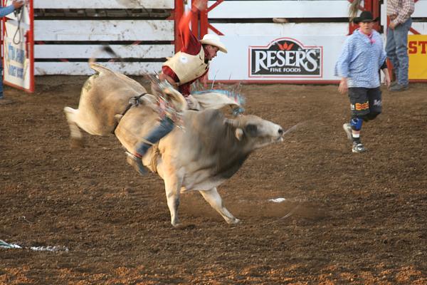 Members Random Picture Gallery Non Mustang Shots of Interest!-slobber.jpg