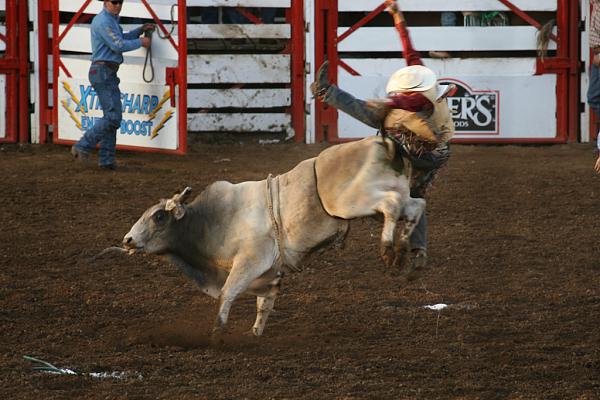 Members Random Picture Gallery Non Mustang Shots of Interest!-slobberoff.jpg