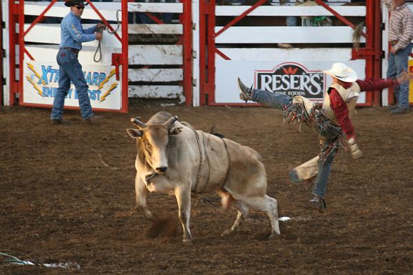 Members Random Picture Gallery Non Mustang Shots of Interest!-slobbergon.jpg