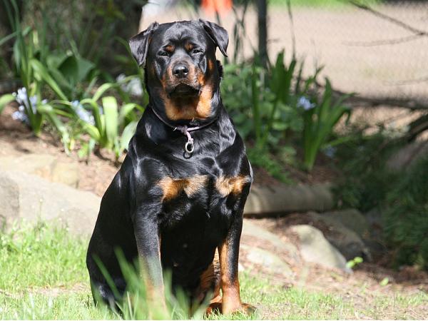 Members Random Picture Gallery Non Mustang Shots of Interest!-trinity.jpg